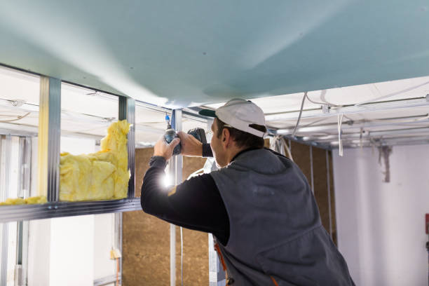 Best Batt and Roll Insulation  in Dawson, MN