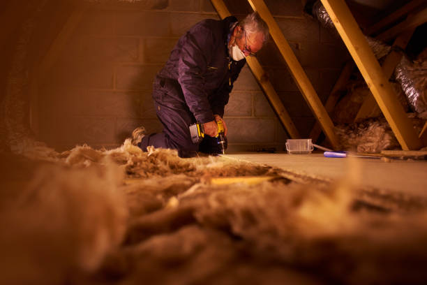 Best Eco-Friendly or Green Insulation Solutions  in Dawson, MN